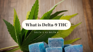 what is delta 9 thc